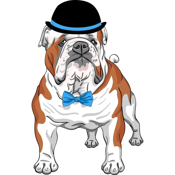 Vector hipster dog English Bulldog breed — Stock Vector