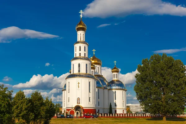 Собор Воскресения Христова в Бресте, Беларусь — стоковое фото