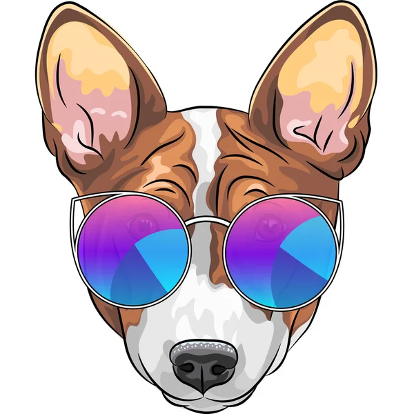 Vector hipster ernstige hond Beagle in glazen — Stockvector