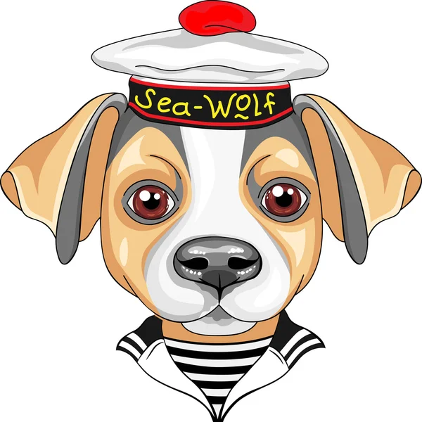 Vector cartoon dog Jack Russell Terrier sailor — Stock Vector