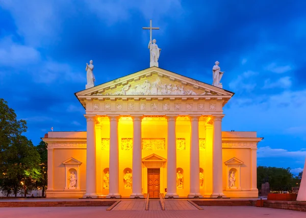 Catedral de Vilna por la noche, Lituania . — Foto de Stock