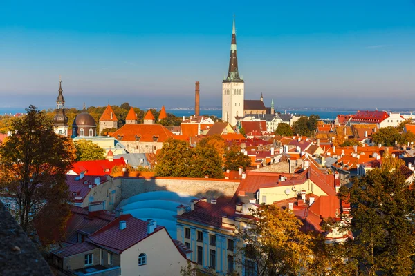 Vista aérea cidade velha, Tallinn, Estonia — Fotografia de Stock