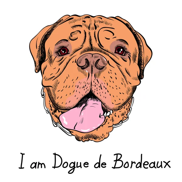 Vector grappige cartoon hipster hond Frans Mastiff — Stockvector