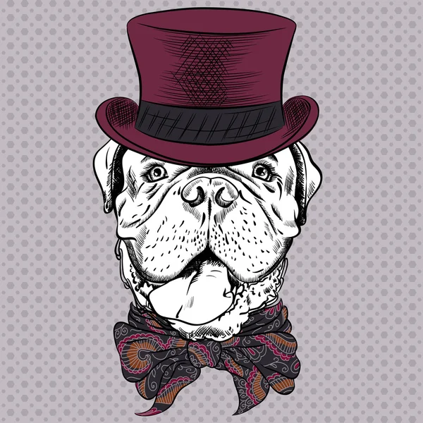 Vecteur drôle dessin animé hipster chien français mastiff — Image vectorielle