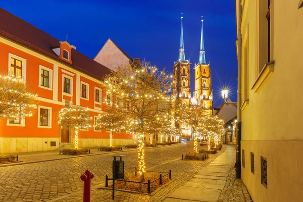 Собор Святого Иоанна ночью во Вроцлаве, Польша — стоковое фото