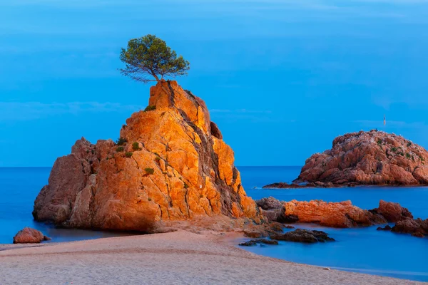 Tossa de Mar na Costa Brava, Catalunha, Espanha — Fotografia de Stock