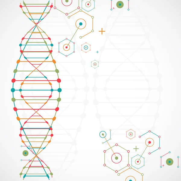 Wetenschappelijke sjabloon met Dna-moleculen — Stockvector