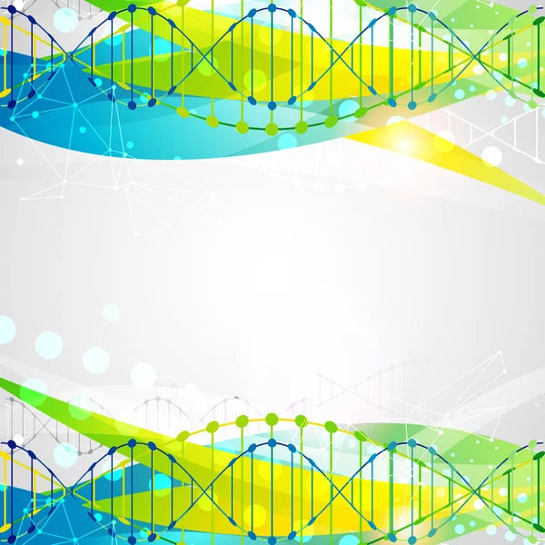 Modelo científico com moléculas de DNA — Vetor de Stock