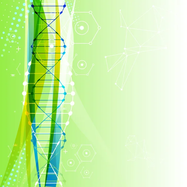 Modelo científico com moléculas de DNA — Vetor de Stock