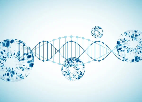 Modello scientifico, carta da parati o banner con molecole di DNA. — Vettoriale Stock
