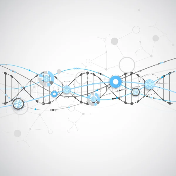 Modèle de science, papier peint ou bannière avec des molécules d'ADN. — Image vectorielle