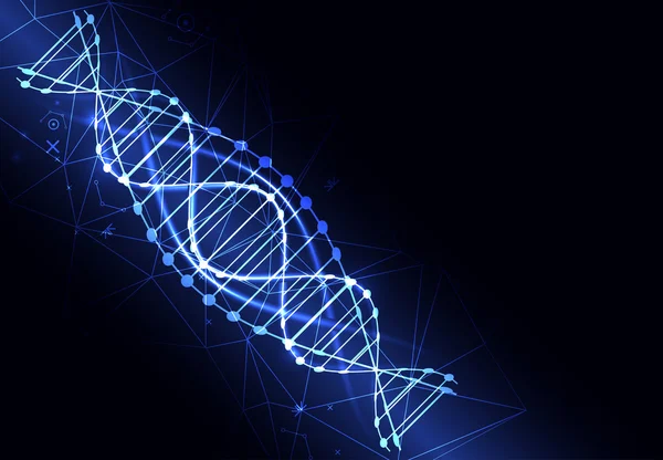 DNA moleküllü bilim şablonu, duvar kağıdı veya afiş. — Stok Vektör