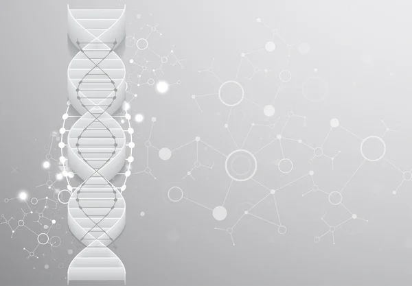 Modelo de ciência com moléculas de DNA 3D . — Vetor de Stock