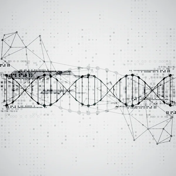 Modelo com fundo de moléculas de DNA — Vetor de Stock