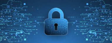 Siber güvenlik ya da ağ koruması. Sistem gizliliği.