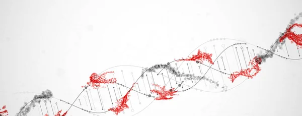 Cadeia De Dnaストックベクター ロイヤリティフリーcadeia De Dnaイラスト ページ 7 Depositphotos