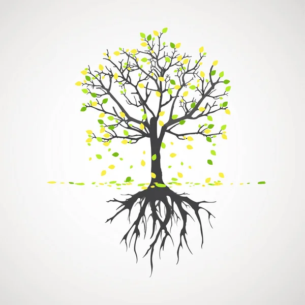 Abstrakcyjne Drzewo Korzeniami Ilustracja Zarysu Wektora Roślina Ogrodzie — Wektor stockowy