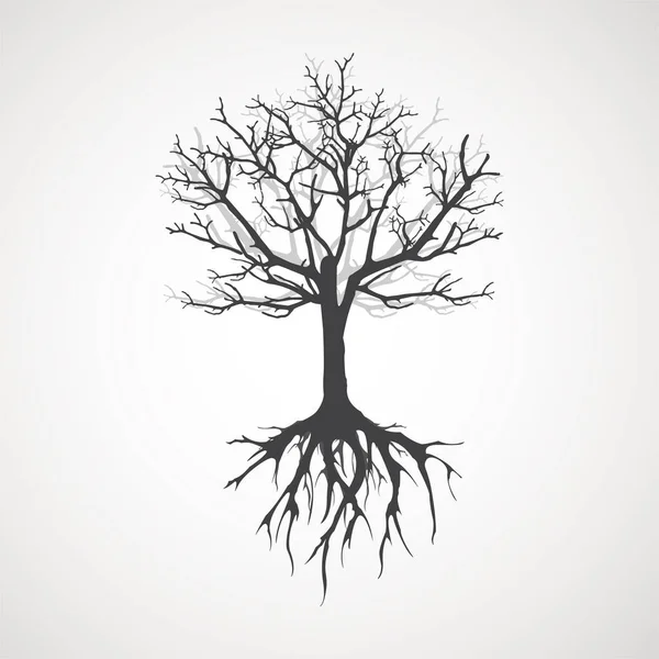 Árbol Abstracto Con Raíces Ilustración Del Esquema Vectorial Planta Jardín — Vector de stock