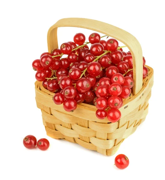 Красные смородины в деревянной корзине — стоковое фото