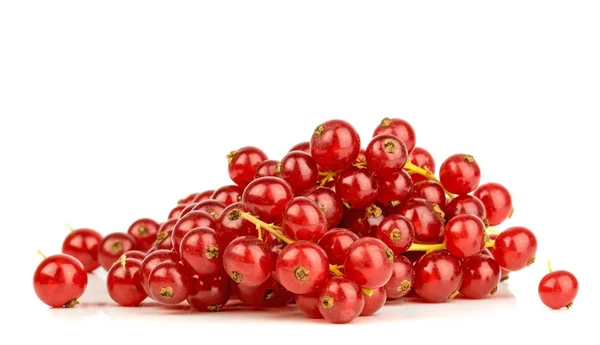 Ein kleiner Haufen roter Johannisbeeren — Stockfoto