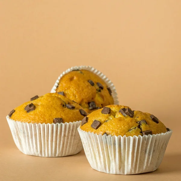 Magdalenas de chispas de chocolate — Foto de Stock