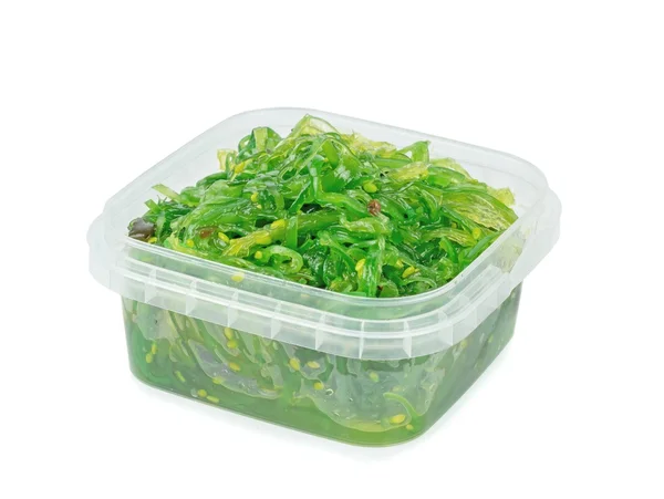 En plast badkar av färska wakame tång — Stockfoto