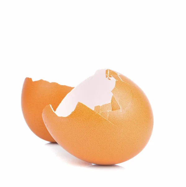 Egy üres, törött, barna tojás héj — Stock Fotó