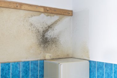 Yükselen nemi ile kaplı bir banyo duvar