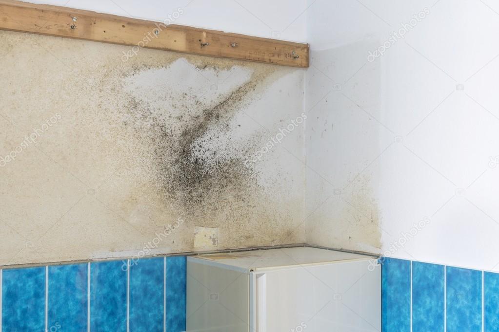 Een badkamer muur bedekt met opstijgend vocht — Stockfoto © gcpics ... Een badkamer muur bedekt met opstijgend vocht — Stockfoto © gcpics ...