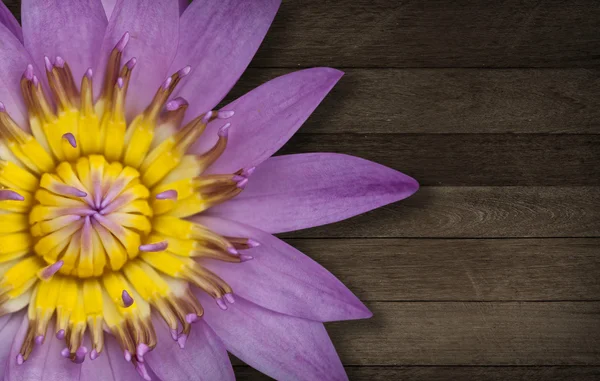 Tablo üzerinde pembe lotus — Stok fotoğraf