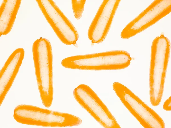Modèle de tranche de carotte — Photo
