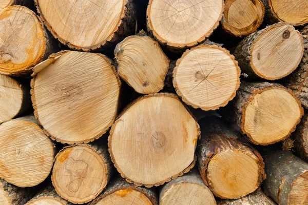 Pile of wood — Stock Photo, Image