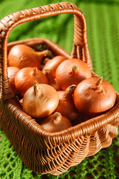 Cebolla vegetal fresca cortada por la mitad con hierbas — Foto de Stock