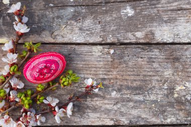 Mutlu Paskalya yumurta ve bahar çiçekleri ile