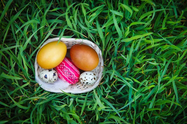 Easter eggs on fresh grass — Stock Photo, Image