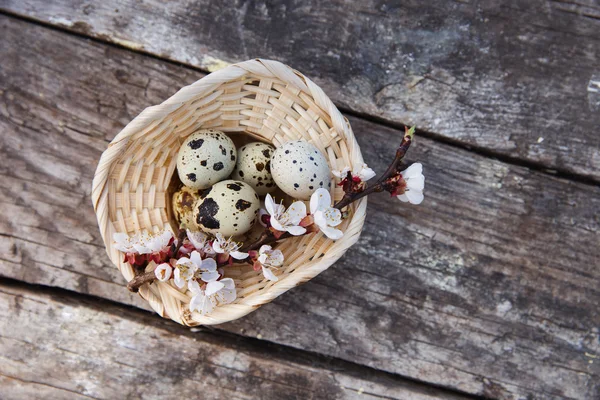 Veselé Velikonoce s květinami a křepelčí vejce — Stock fotografie