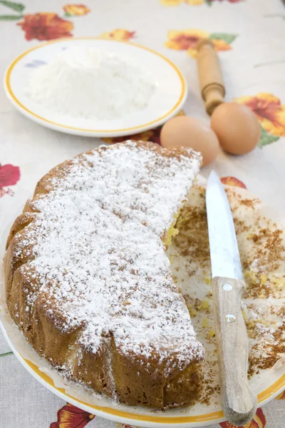 Zelfgemaakte spons cake met poedersuiker — Stockfoto