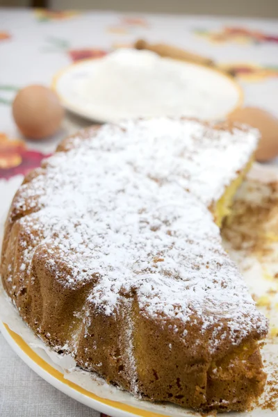 Hausgemachter Biskuitkuchen mit Puderzucker — Stockfoto