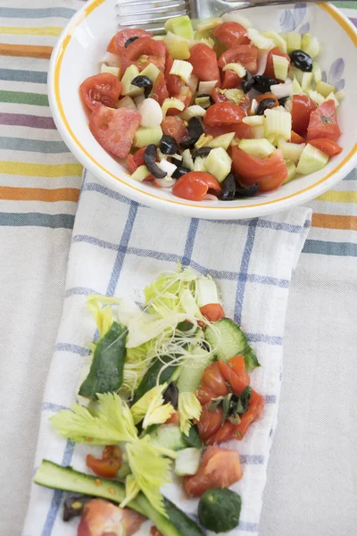 Insalata mista con pomodori e verdure assortite — Foto Stock
