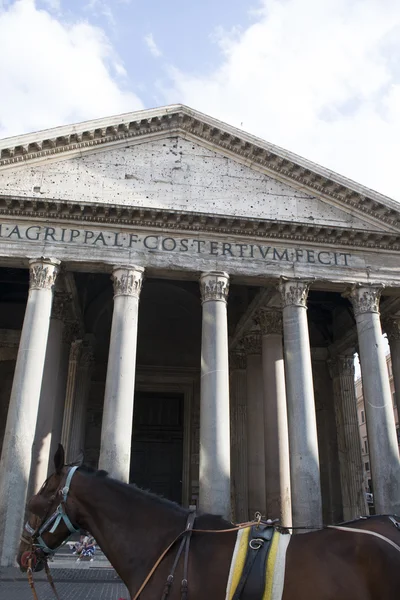 Panteão em roma com um cavalo em primeiro plano — Fotografia de Stock