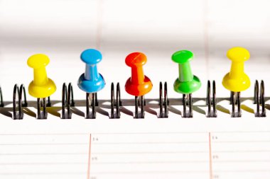 Renkli itme iğneleri planlama sayfasında 