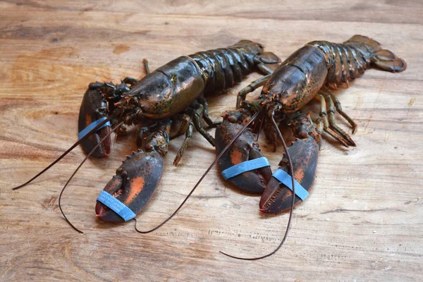 Lonbsters Canadenses Vivo Fundo Madeira — Fotografia de Stock