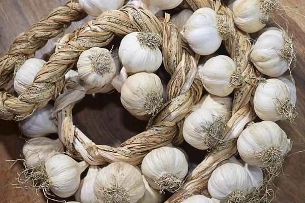 Cadena de ajo — Foto de Stock