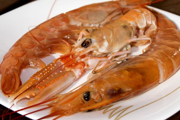 Imperial prawns — Stock Photo, Image