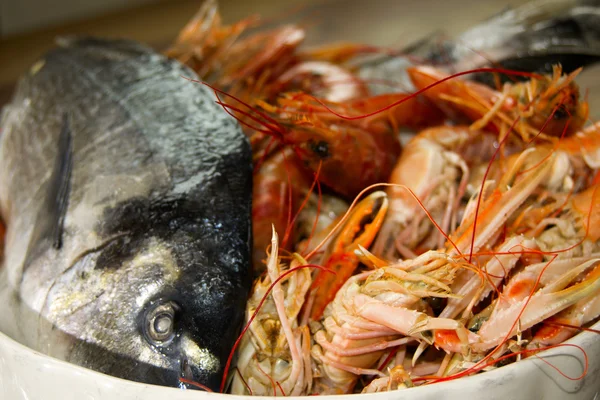 Frischer Fisch aus dem Mittelmeer — Stockfoto