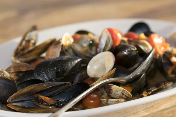 stock image clams and mussels