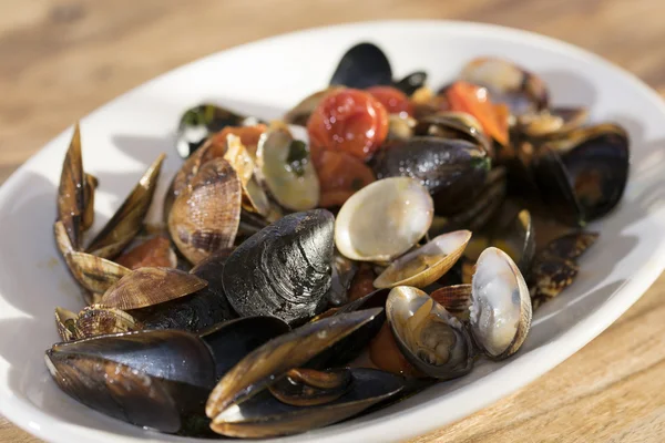 Clams and mussels — Stock Photo, Image