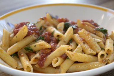 Pennette hepsi bir tavşan.