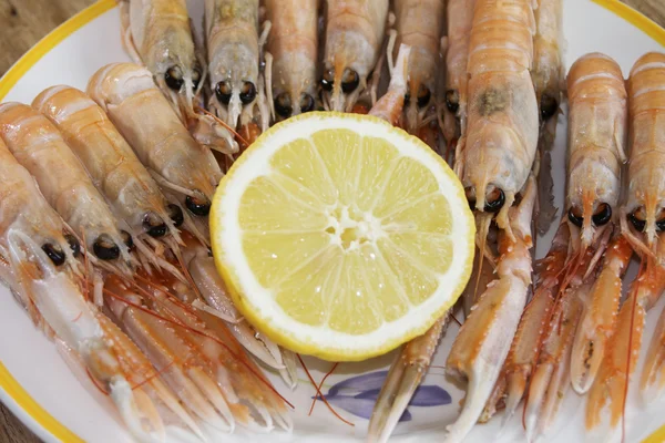 新鮮な prawnsfished — ストック写真