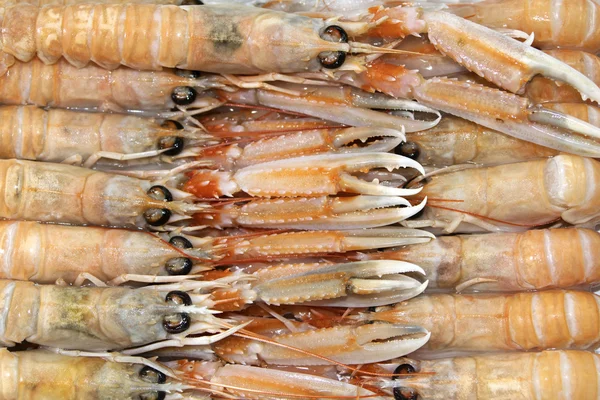 Aufgetaute Scampi — Stockfoto